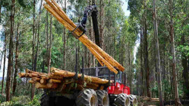 10 Cara Melestarikan Hutan Agar Tetap Terjaga Dengan Baik 10 Cara Melestarikan Hutan Agar Tetap Terjaga Dengan Baik