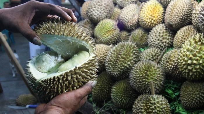 Benarkah Jual Durian Dihitung Perkilo itu Penipuan? Begini Islam Memandangnya