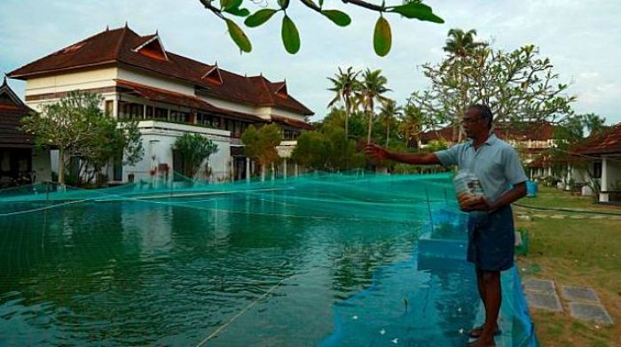 Pendapatan Nol, Resort Mewah Banting Setir Jadi Kolam Ikan