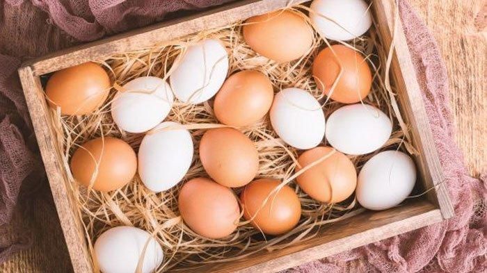 Ciri-ciri Telur yang Bahaya Jika Dikonsumsi