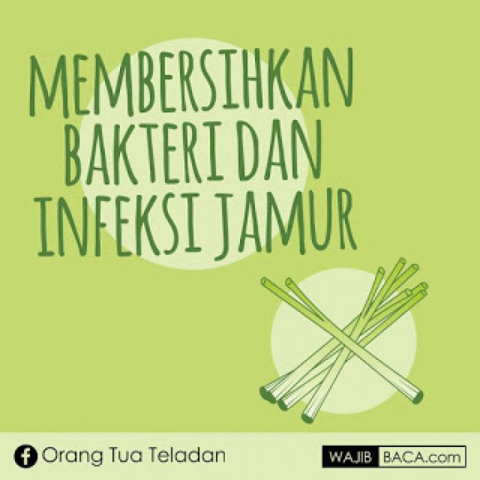 25 Manfaat Daun Serai Bagi Kesehatan 25 Manfaat Daun Serai Bagi Kesehatan