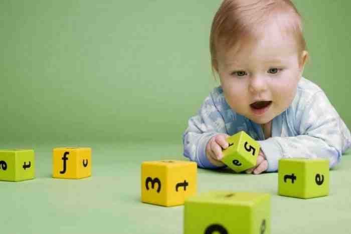 Makanan Bayi 6 Bulan untuk Kecerdasan Otak