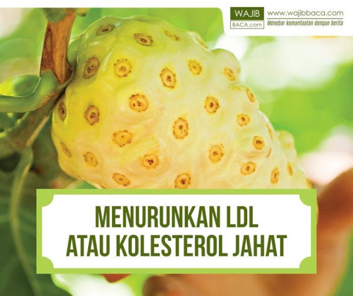 Manfaat Buah Mengkudu Mengurangi Stres Hingga Menurunkan Kolesterol