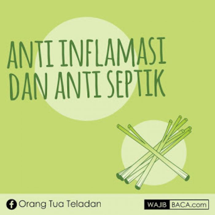 25 Manfaat Daun Serai Bagi Kesehatan 25 Manfaat Daun Serai Bagi Kesehatan
