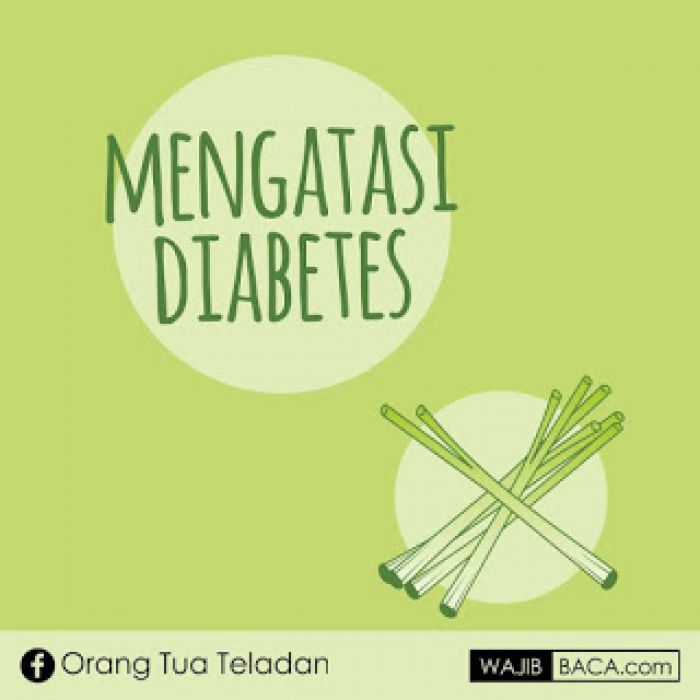 25 Manfaat Daun Serai Bagi Kesehatan 25 Manfaat Daun Serai Bagi Kesehatan